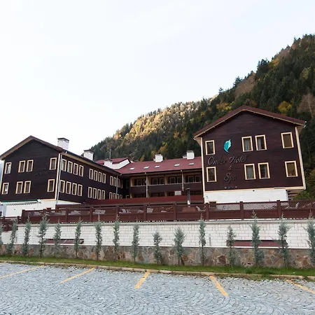 Flora Hotel Uzungol